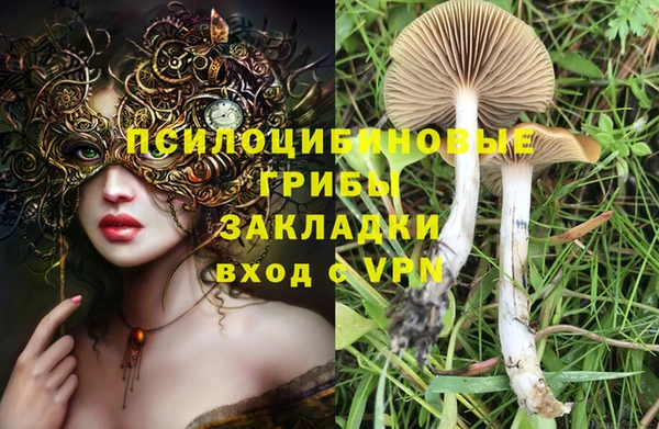амфетамин Богородск