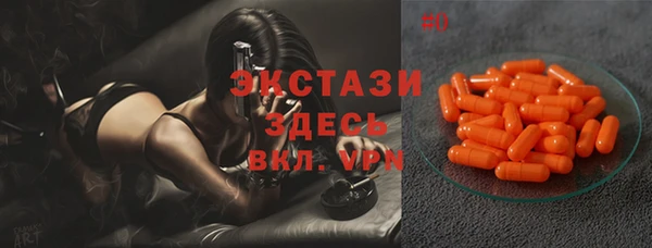 дмт Богородицк