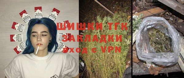 прущие грибы Беломорск