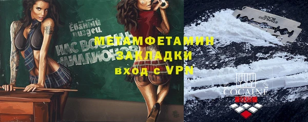 прущие грибы Беломорск