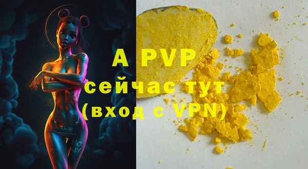 прущие грибы Беломорск