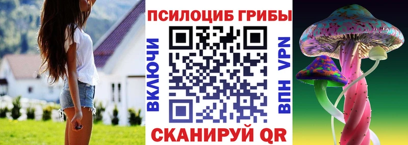купить наркотик  Верещагино  площадка формула  Галлюциногенные грибы ЛСД 